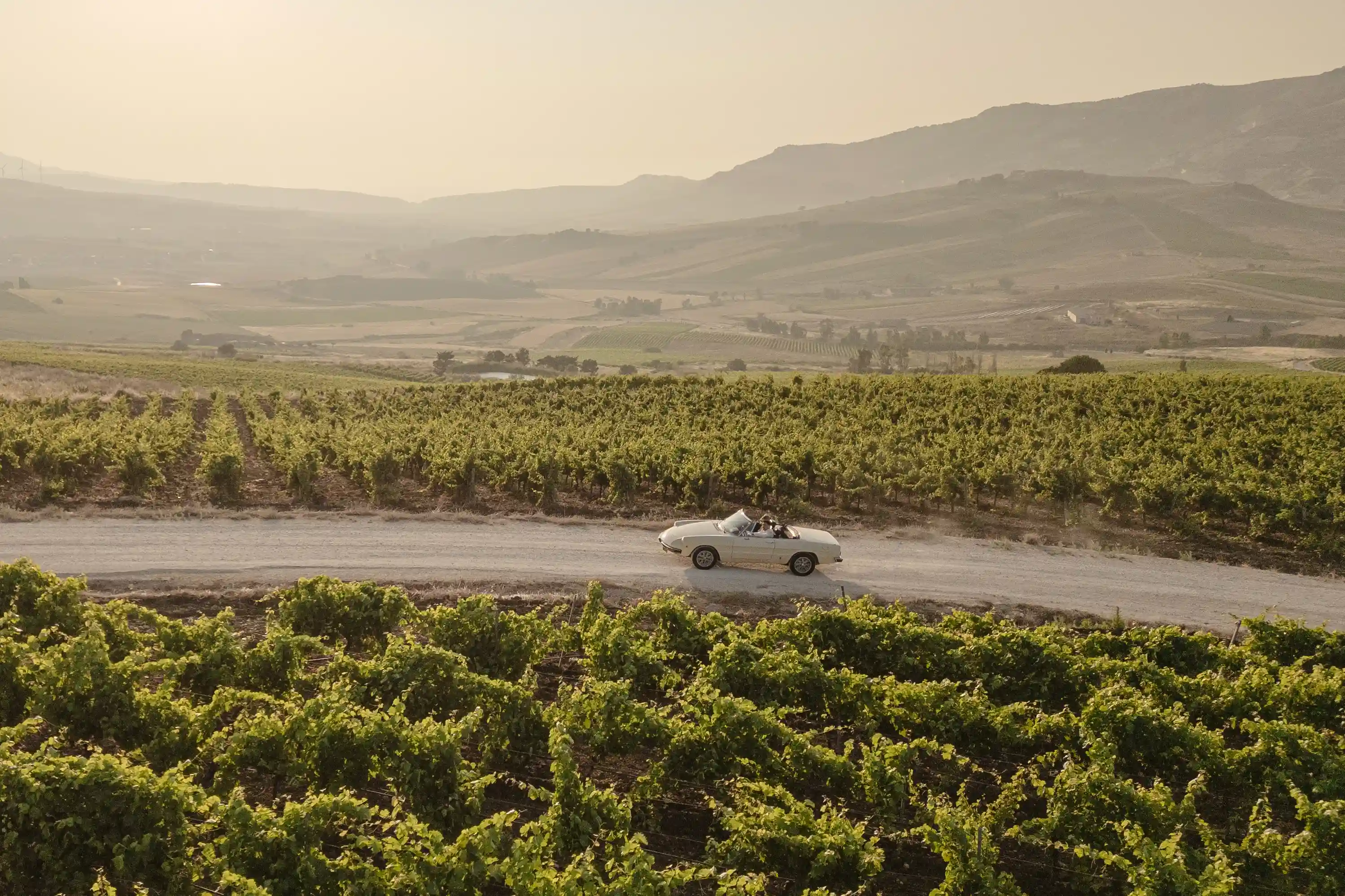 Wedding couple driving vintage car through Sicilian countryside vineyards at sunset